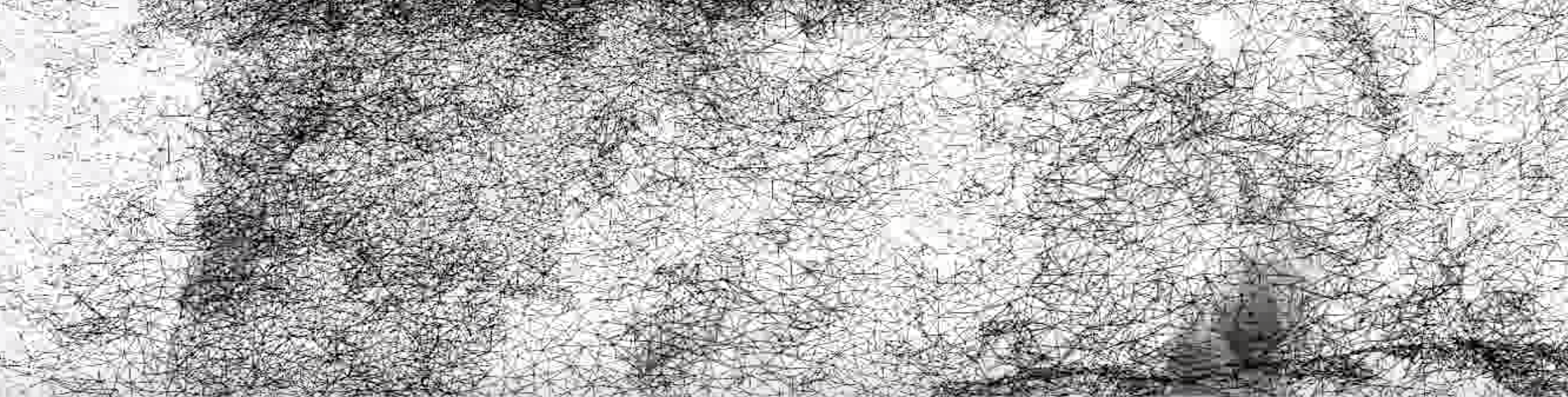 Ben McDonnell & Nemo Nonnenmacher 