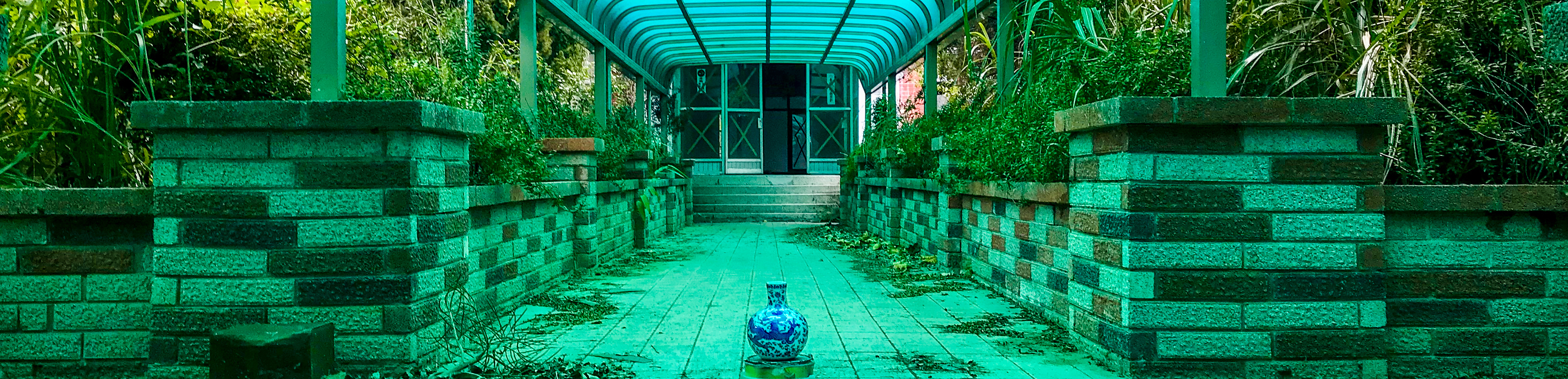 Karolina Markiewicz, Pascal Piron