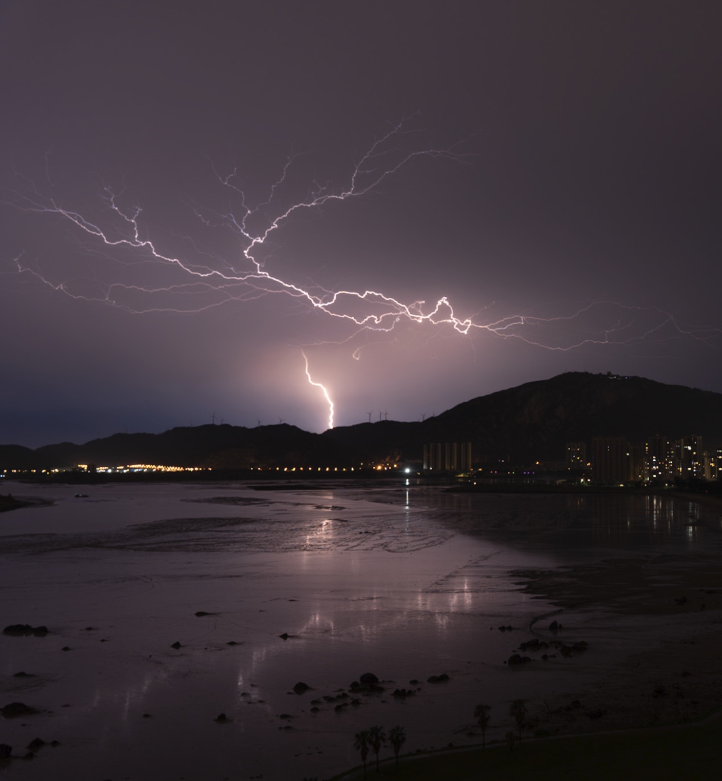 Dr Michelle Lewis-King