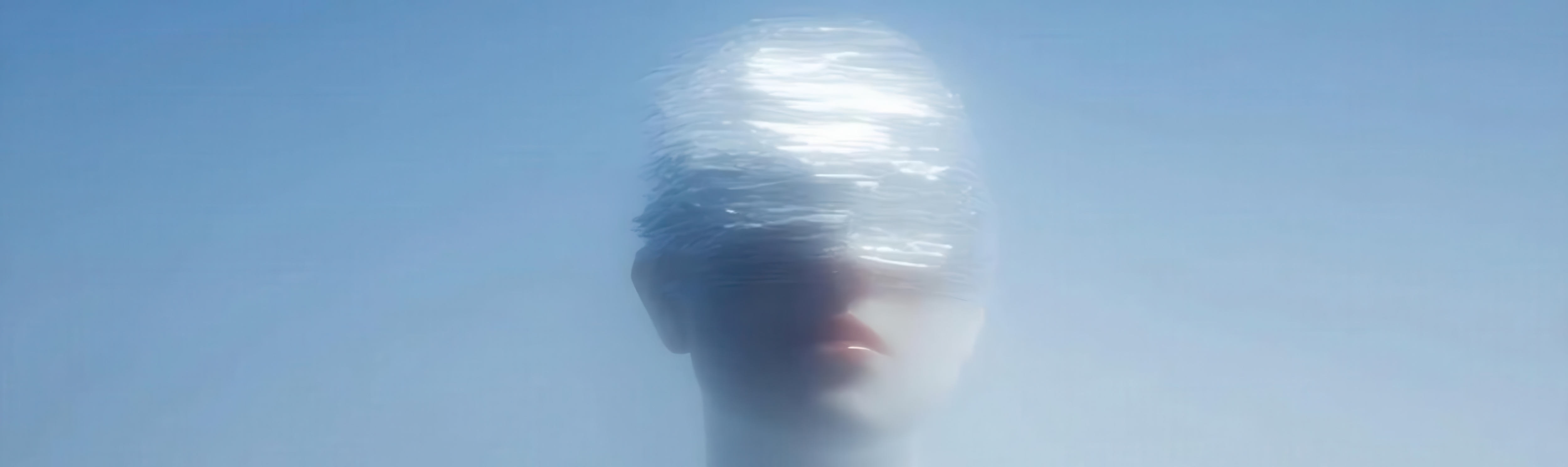 Albert Schaeffer aka parus.work